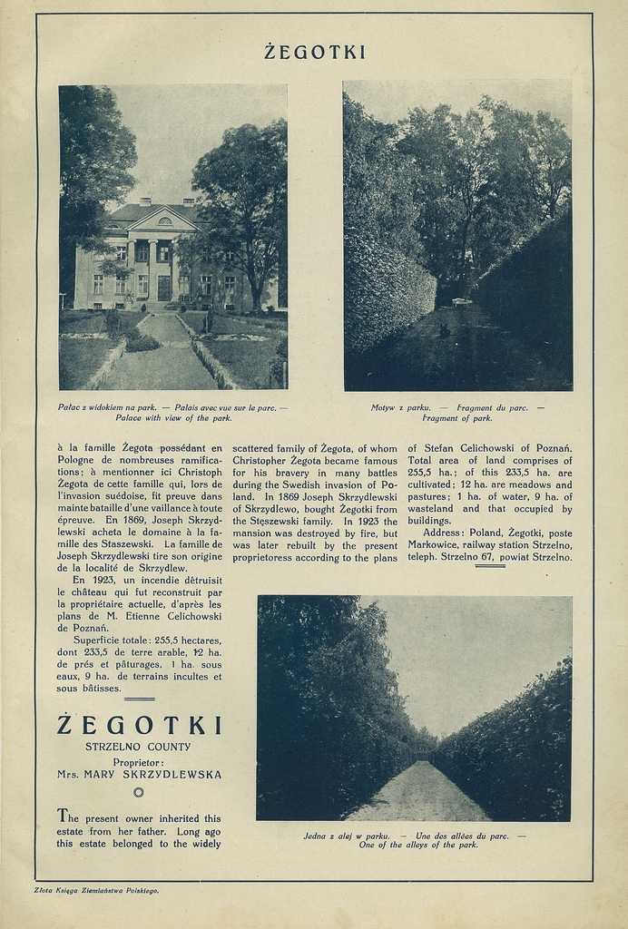 223 zegotki.jpg